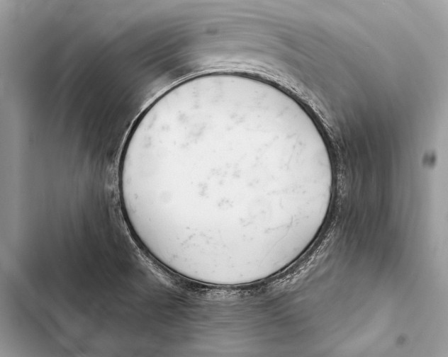 X0000103491521200810031554