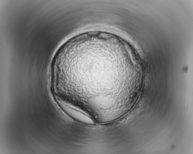 X0000103491522200810031554