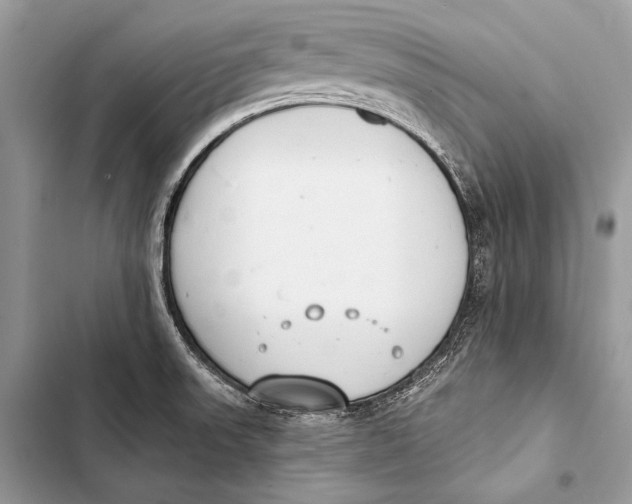 X0000103491523200810031554