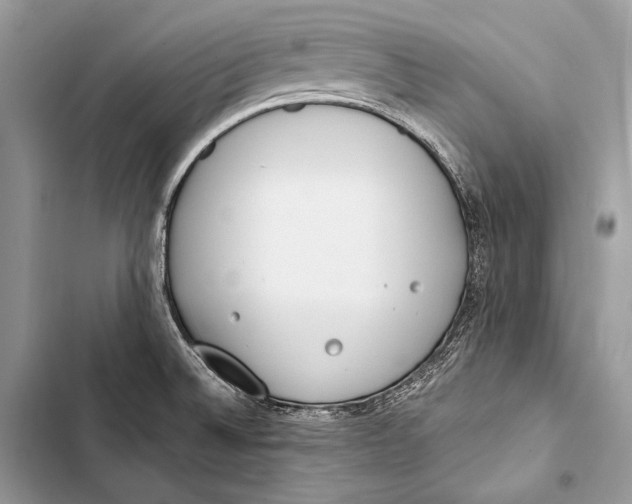 X0000103491524200810031554