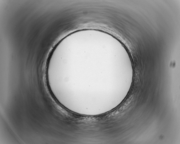 X0000103491525200810031554