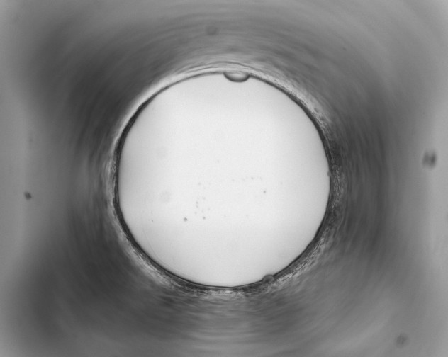 X0000103491526200810031554