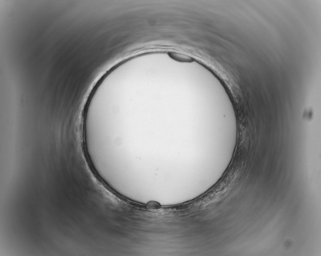 X0000103491527200810031554