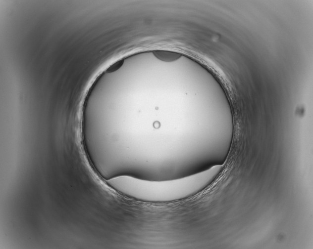 X0000103491528200810031554