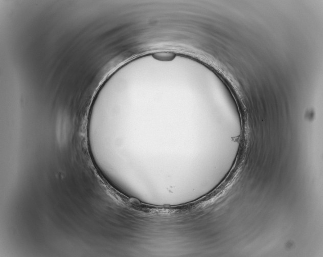 X0000103491529200810031554