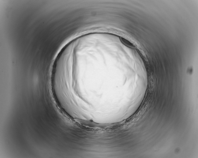 X0000103491530200810031554