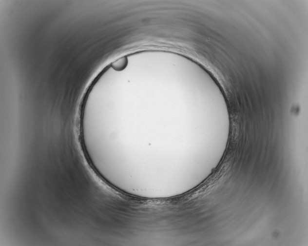 X0000103491531200810031554