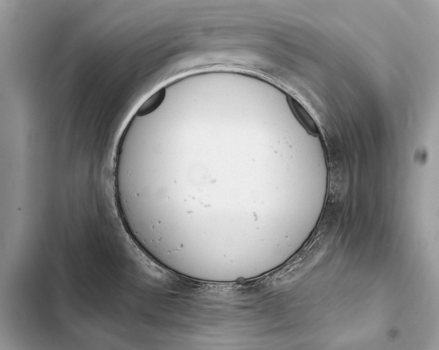 X0000103491532200810031554