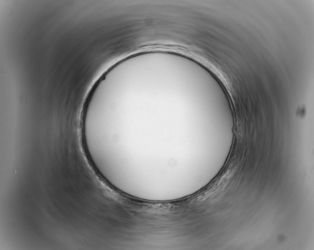 X0000103491533200810031554