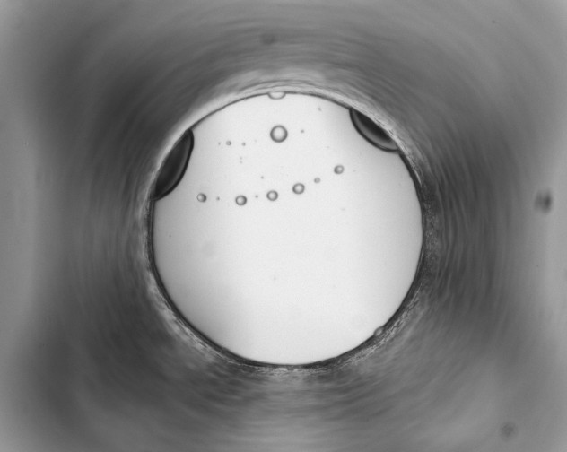 X0000103491534200810031554