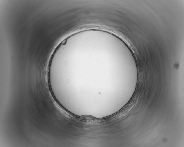 X0000103491535200810031554