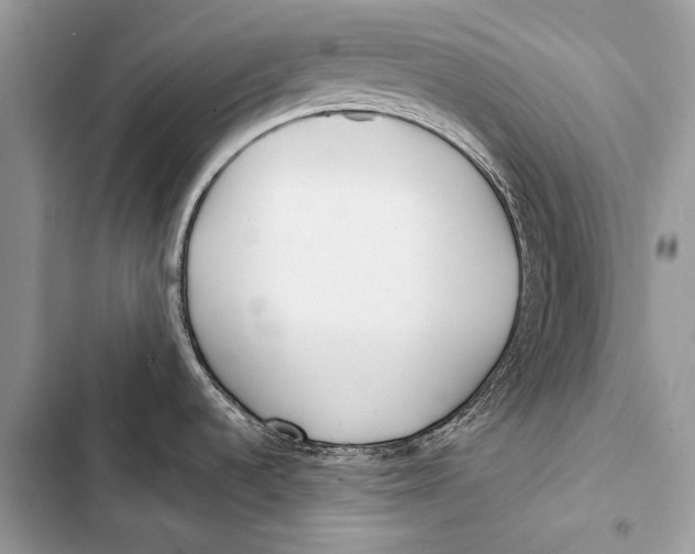 X0000103491536200810031554