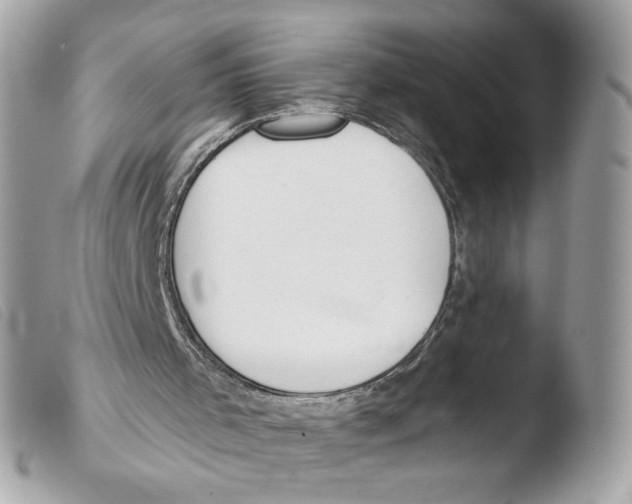 X0000103490001200810101034