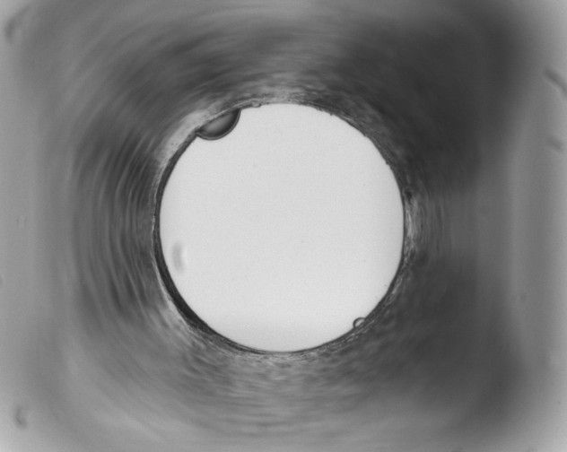 X0000103490003200810101034