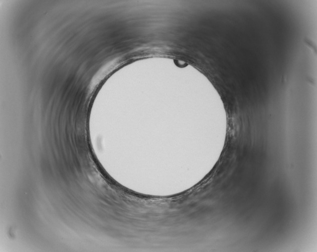 X0000103490004200810101034