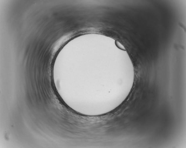 X0000103490006200810101034