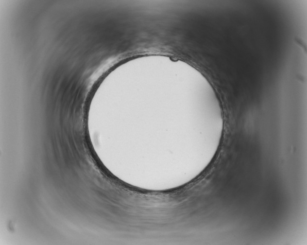 X0000103490008200810101034