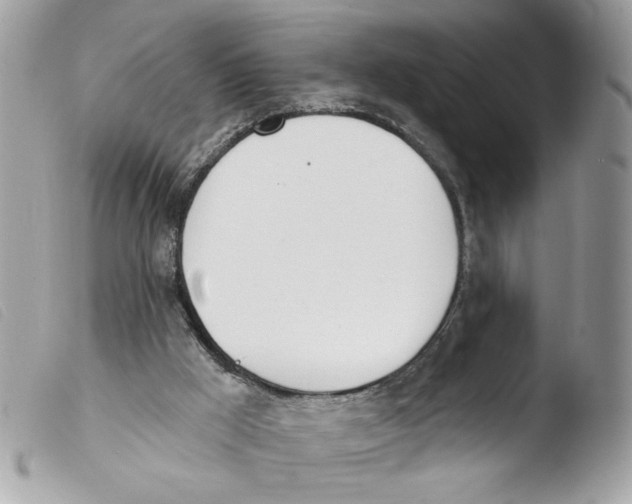 X0000103490009200810101034