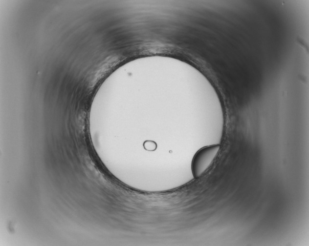X0000103490010200810101034