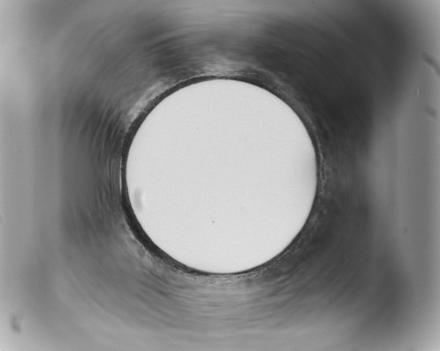 X0000103490011200810101034