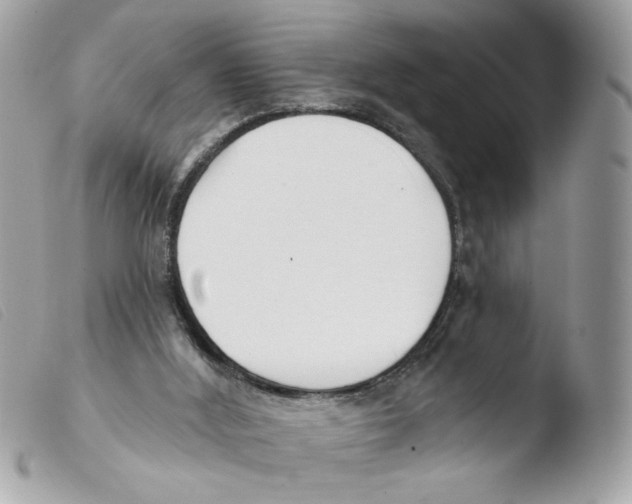 X0000103490012200810101034