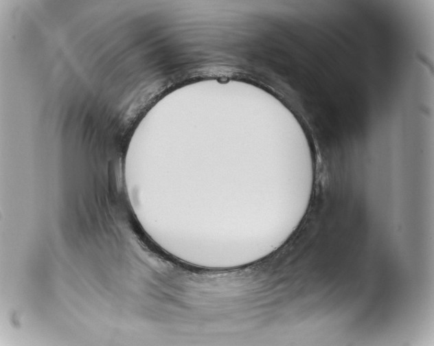 X0000103490013200810101034