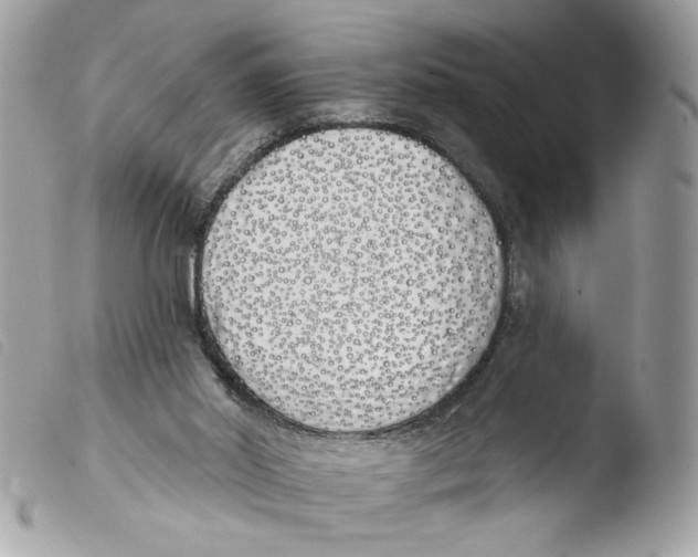 X0000103490014200810101034