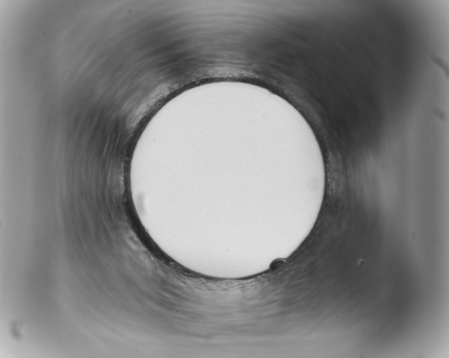 X0000103490015200810101034