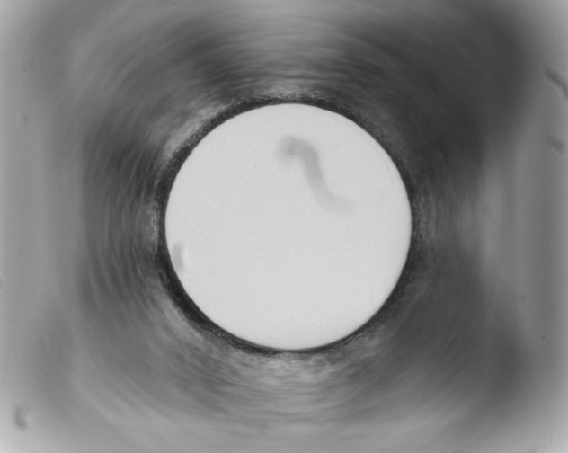 X0000103490016200810101034