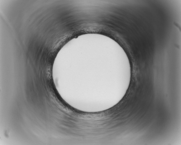 X0000103490017200810101034