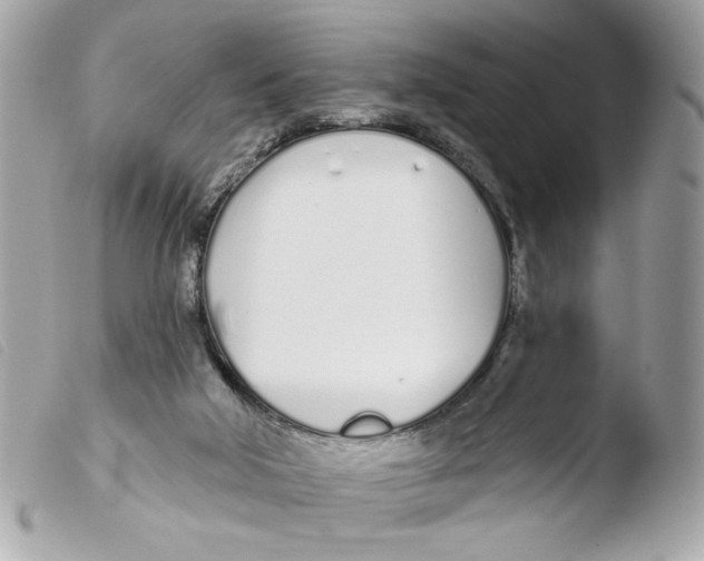 X0000103490018200810101034