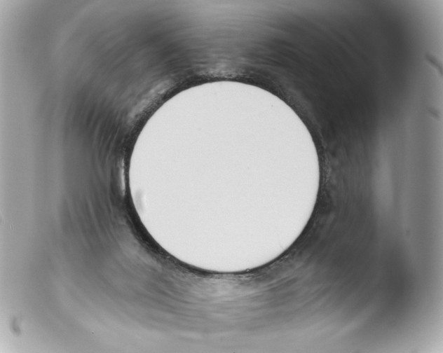 X0000103490020200810101034