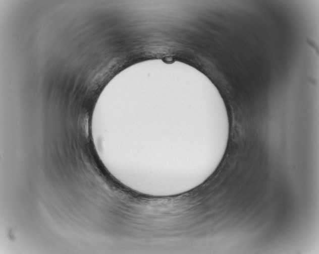 X0000103490021200810101034