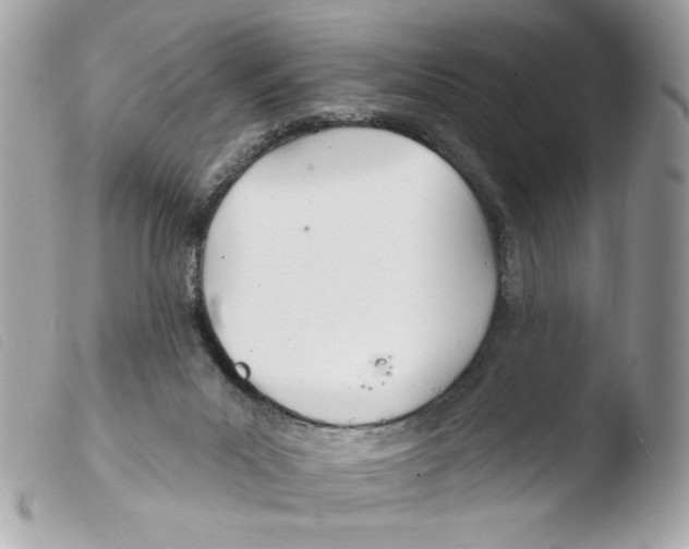 X0000103490023200810101034