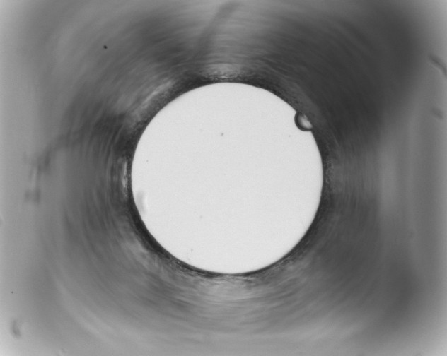 X0000103490024200810101034