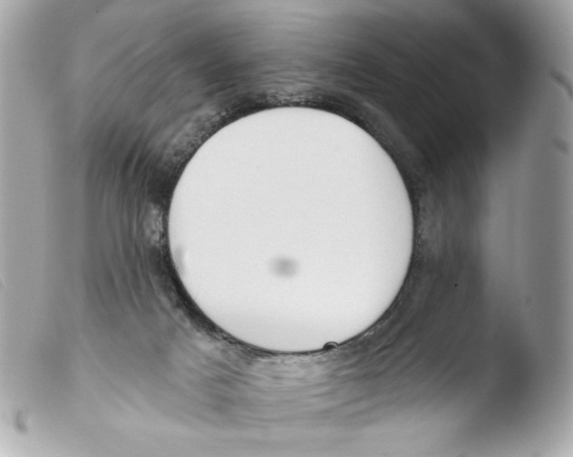 X0000103490025200810101034