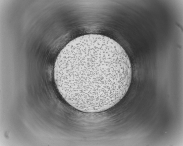 X0000103490026200810101033