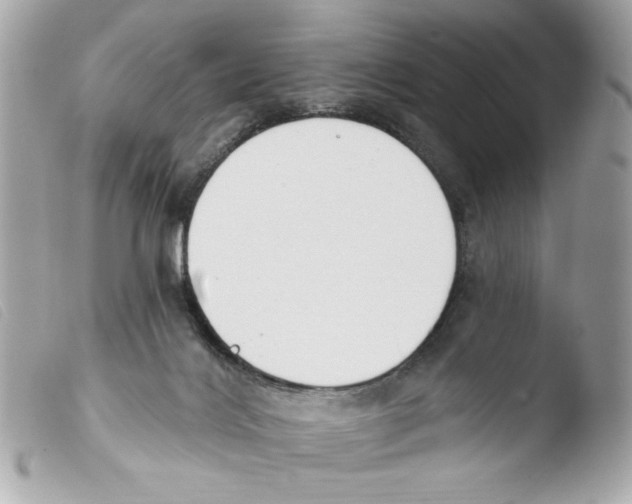 X0000103490028200810101033