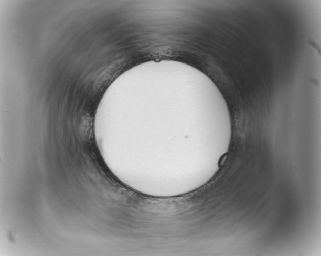 X0000103490029200810101033