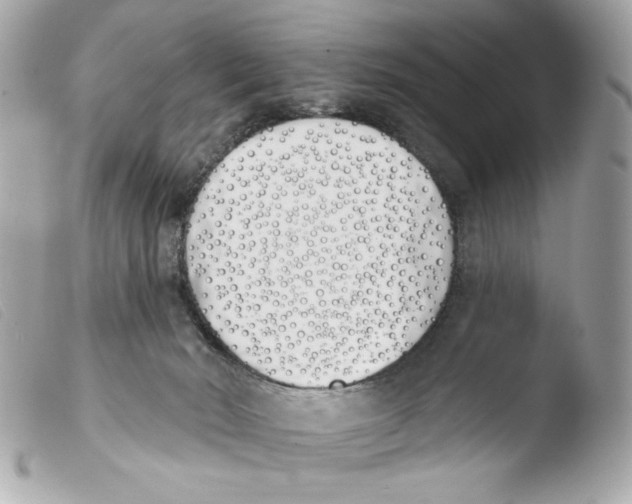 X0000103490030200810101033