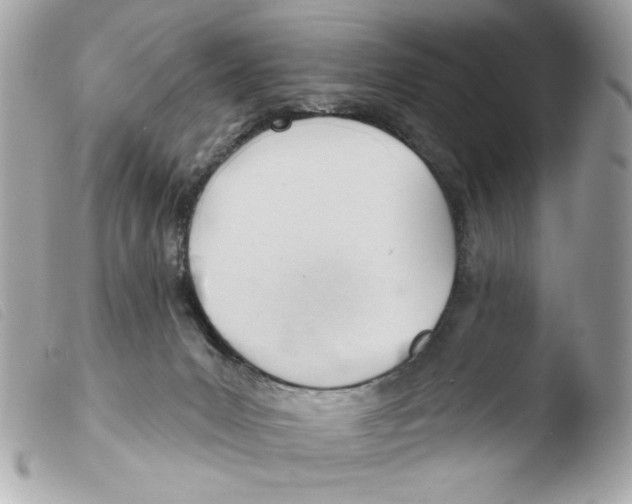 X0000103490031200810101033