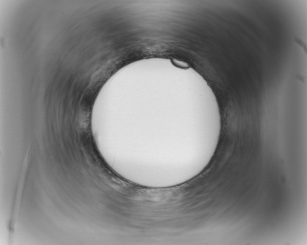 X0000103490033200810101033