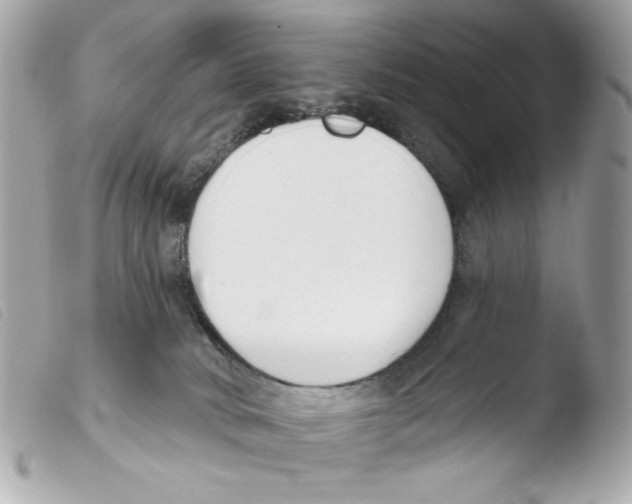 X0000103490034200810101033