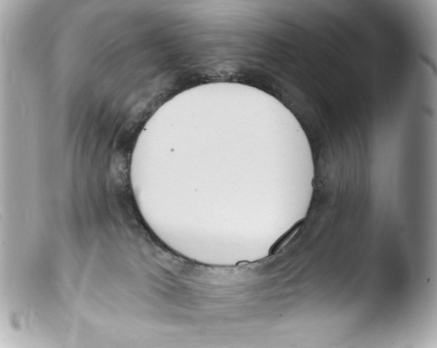 X0000103490037200810101033