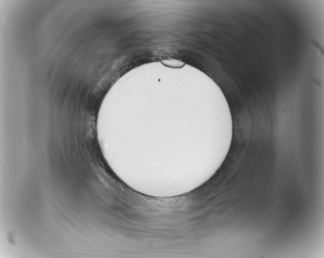 X0000103490038200810101033