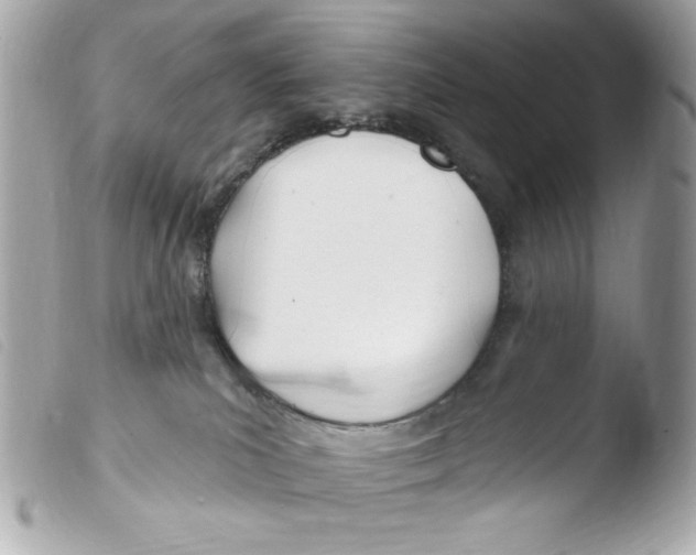 X0000103490039200810101033