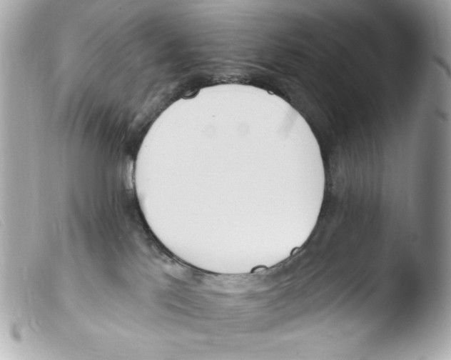 X0000103490041200810101033