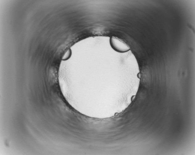 X0000103490043200810101033