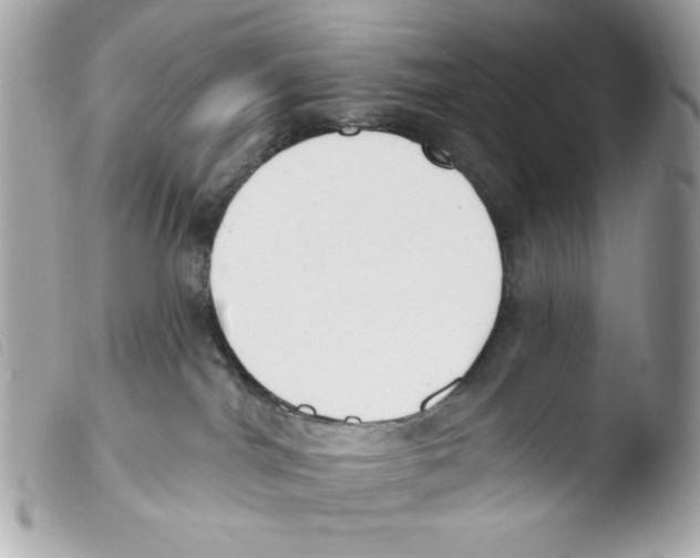 X0000103490044200810101033