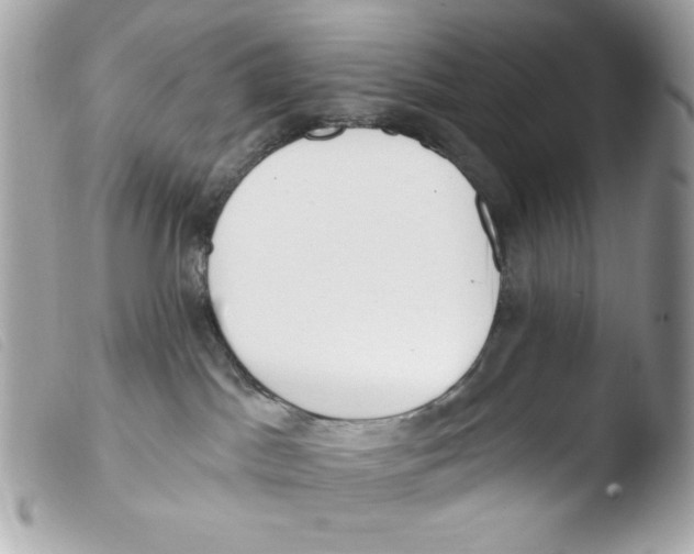 X0000103490045200810101033